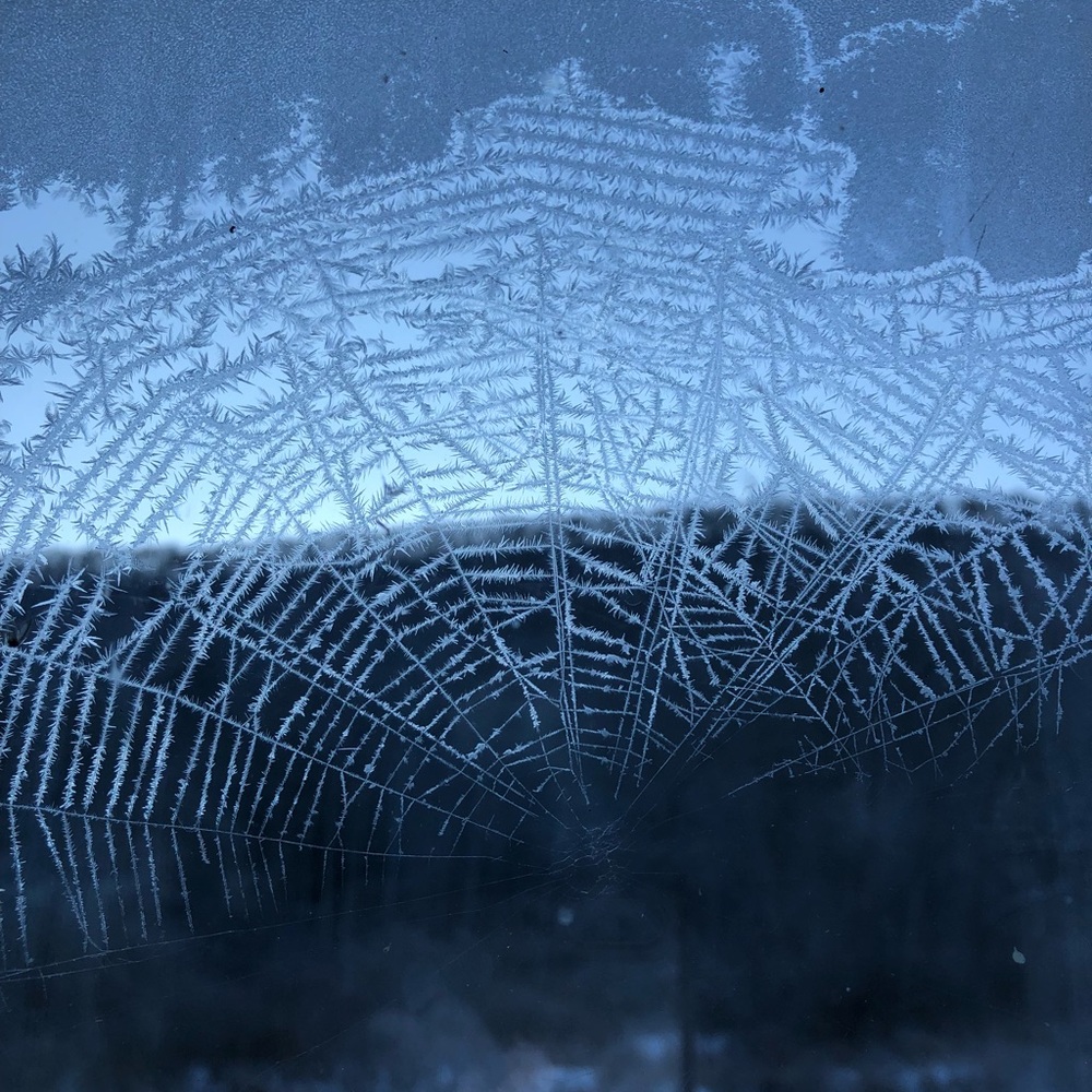 Meet your Posher, Brenda